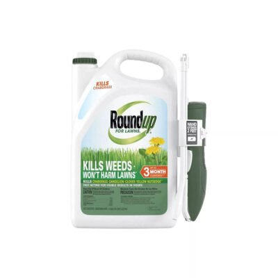 Roundup For Lawns Northern Ready to Use Extended Wand Herbicide - 1gal
